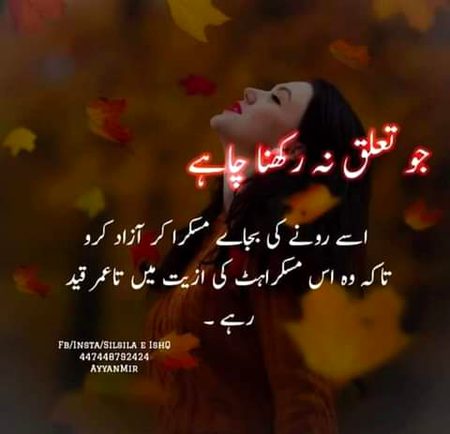 Attitude Quotes image