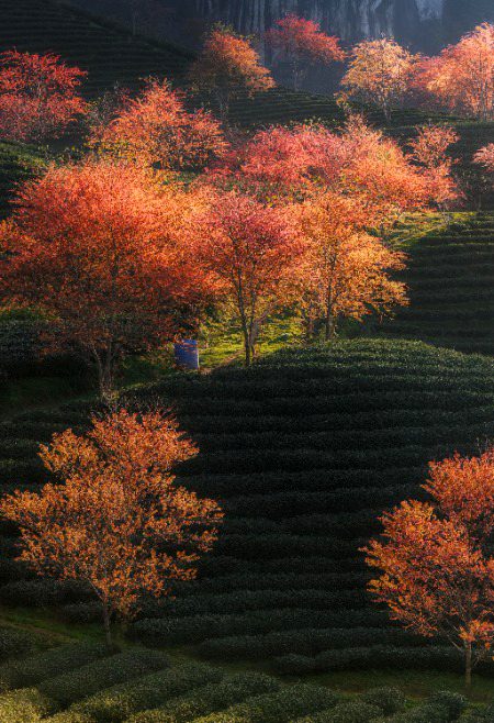 Beautiful Nature image