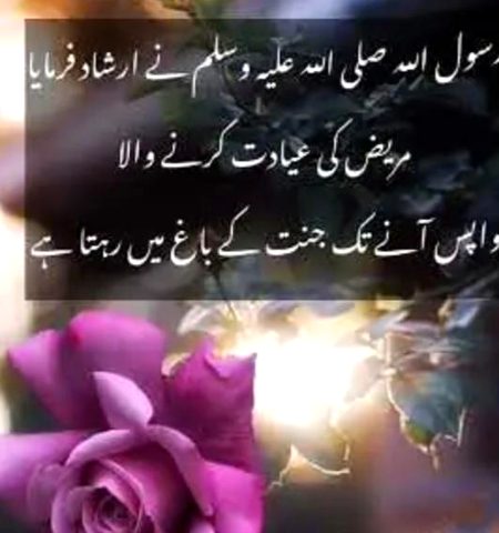 Islamic Quotes image