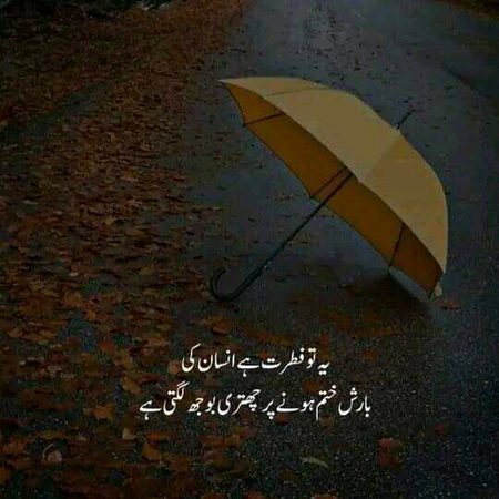 ❤️💜🖤❤️💜🖤❤️💜