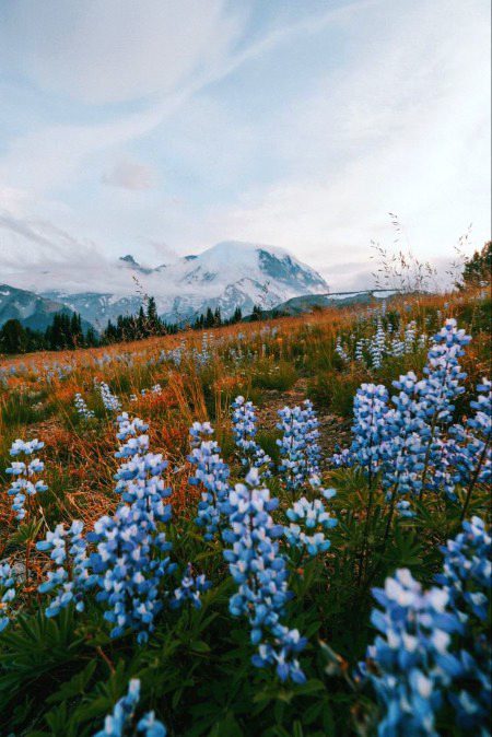 Beautiful Nature image