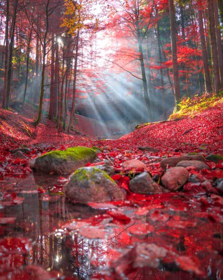 Beautiful Nature image