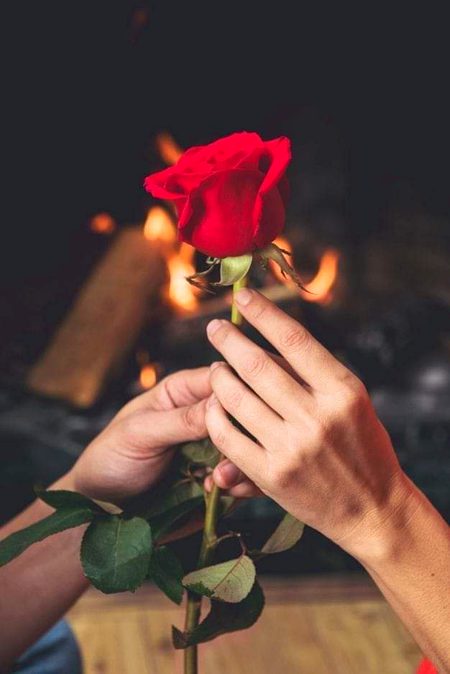 خاک محبوب ہیں ؟؟
ایک پھول میرے نام نہ کرسکے آپ ۔۔!
معیشت کو خطرہ ہے 
یا محبت کے اصول جان نہ سکے آپ؟____
😏🥀❤️🩹🌚