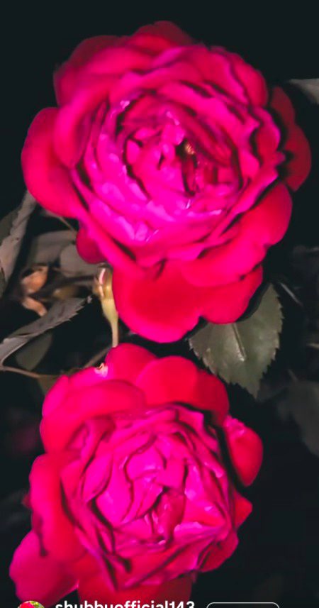 Beautiful Nature image