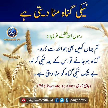 Islamic Quotes image