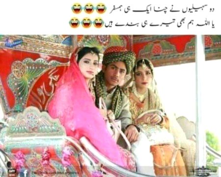 Memes & Satire image