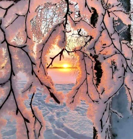 Beautiful Nature image