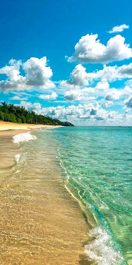 Beautiful Nature image