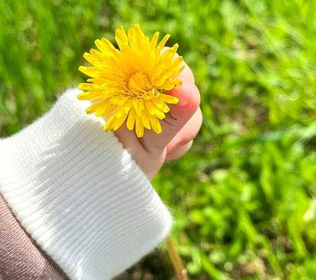 Beautiful Nature image