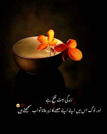 Sad Poetry image