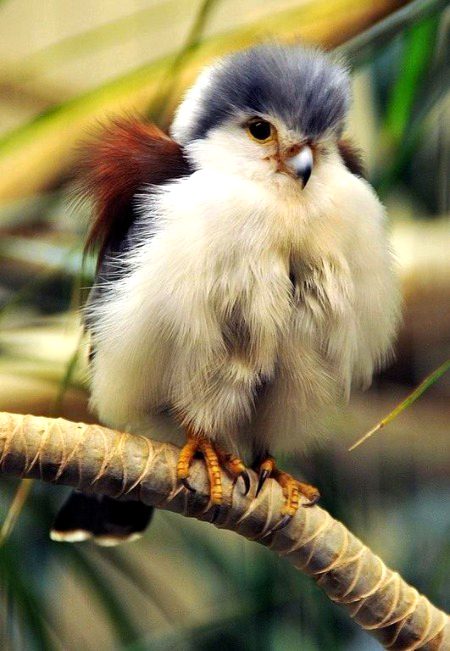 Beautiful Nature image