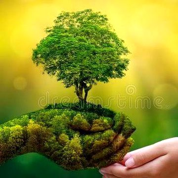 Nice image...nature