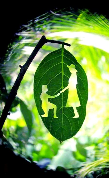 Beautiful Nature image