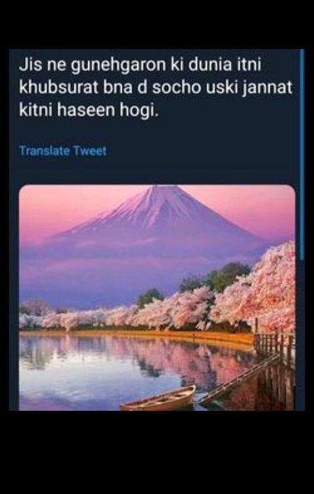 Islamic Quotes image