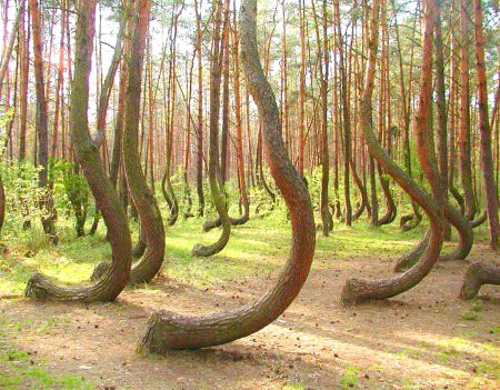 Beautiful Nature image