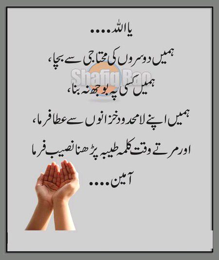 Islamic Quotes image