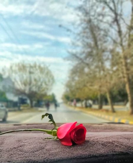 معملات کو تھوڑا خراب ہونے دیا کریں تاکہ 
پتا چل سکے آپ نے کن لوگوں کو چنا ہوا ہے🖤