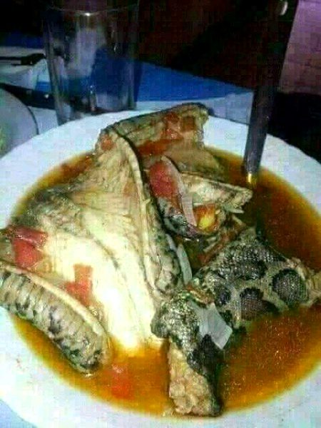 Ya fish ha ya kuch or