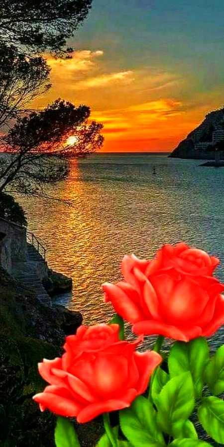 Beautiful Nature image