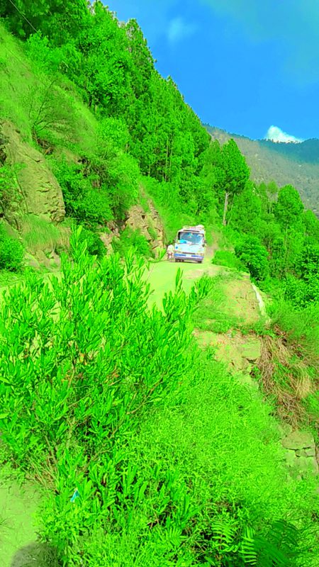 Beautiful Nature image