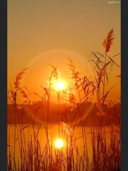 Beautiful Nature image