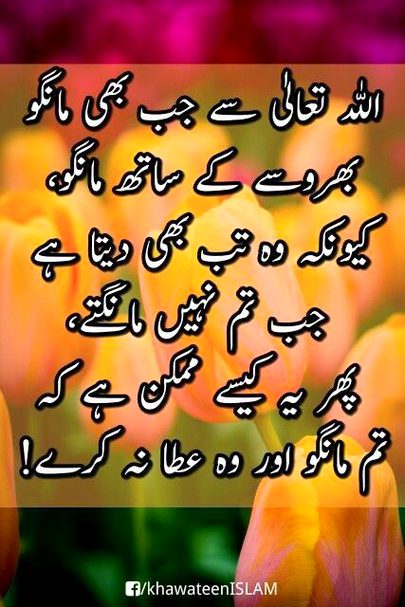 Islamic Quotes image