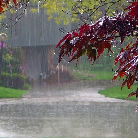 Ψ§ΩΨ³ΩΨ§Ω
ΨΉΩΫΪ©Ω
happy rainy morning β€οΈ