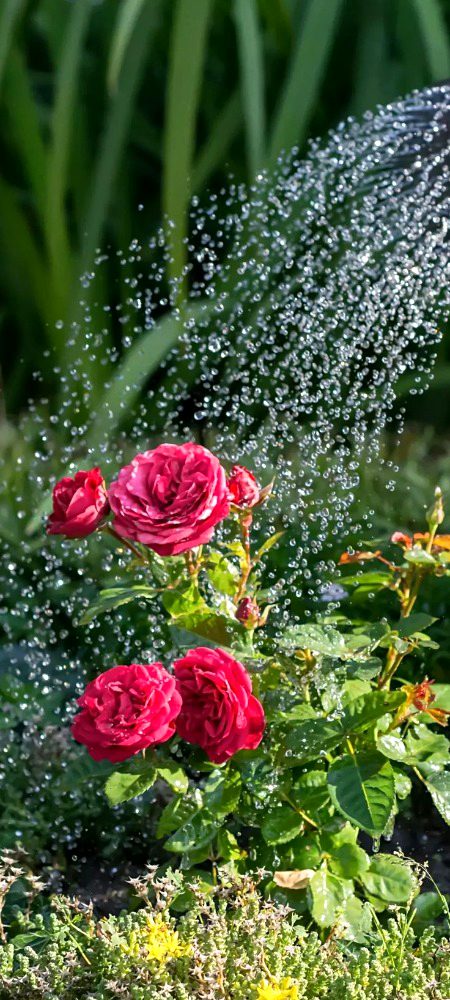 *کچھ باتیں کہ کر لگتا ہے۔۔۔ چپ رہتے تو اچھا تھا🥹* 
 *کچھ باتیں سہہ کر لگتا ہے کچھ کہہ لیتے تو اچھا تھا ❤️🩹*