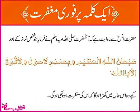 Islamic Quotes image