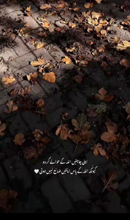 Beautiful Nature image