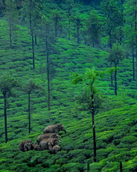 Beautiful Nature image