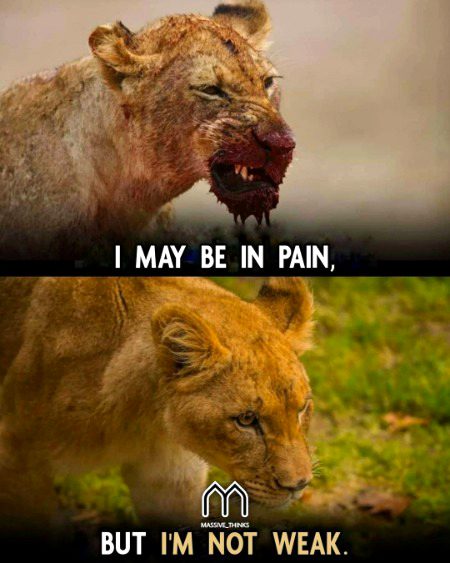 Attitude Quotes image
