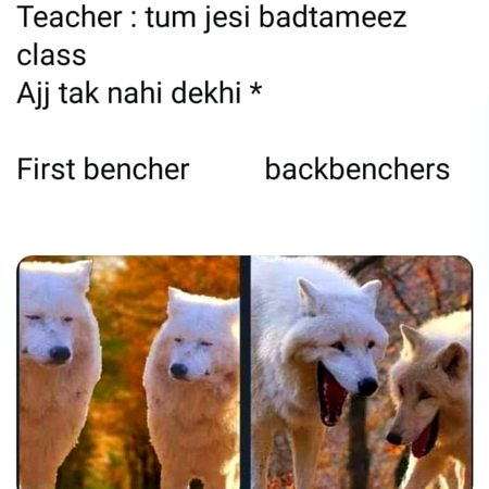 Memes & Satire image