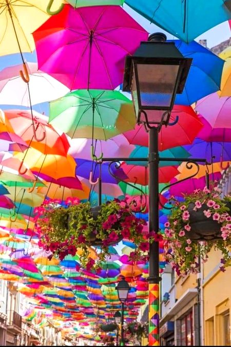 ”اللہ کی نگاہ میں دنیا بڑی حقیر ہے ؛ وہ دنیا اسے بھی دیتا ہے جس سے محبت کرتا ہے اور اسے بھی جس سے محبت نہیں کرتا ؛ لیکن ایمان وہ صرف اسی کو عطا کرتا ہے جو اسے محبوب ہو۔“
*(عبید بن عمیر رحمہ اللہ : حلیة الاولیاء : 270/3)