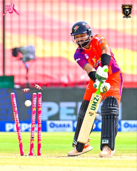 Pakistani Celebs image