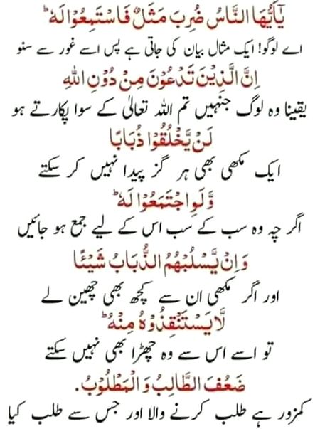 Islamic Quotes image