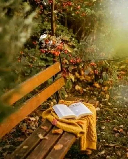 Beautiful Nature image