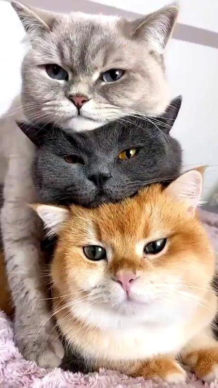 Beautiful Nature image