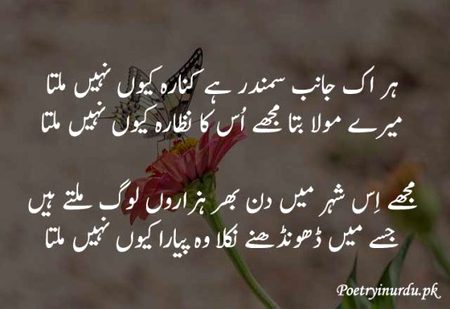 Nic hena sad