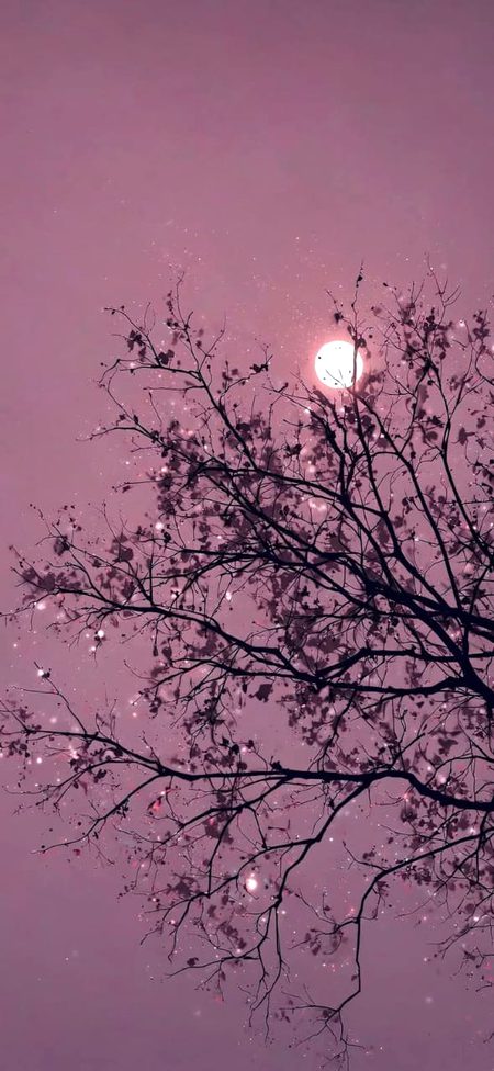 Beautiful Nature image