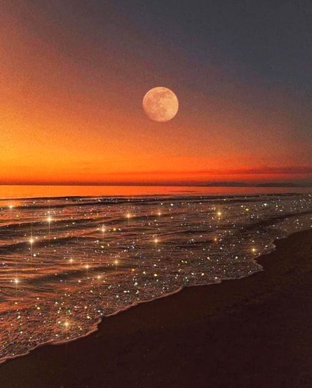 Beautiful Nature image