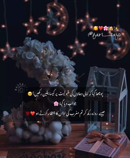 اسلام وعلیکم ورحمتہ اللہ وبرکاتہ ۔۔۔pari