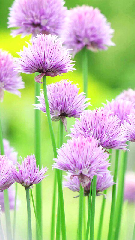 Beautiful Nature image
