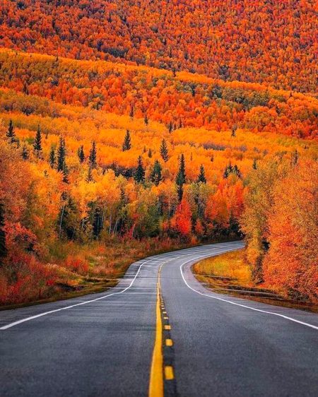 Beautiful Nature image