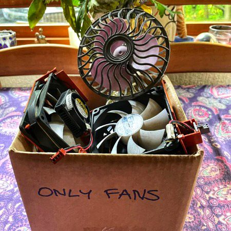 Memes & Satire image