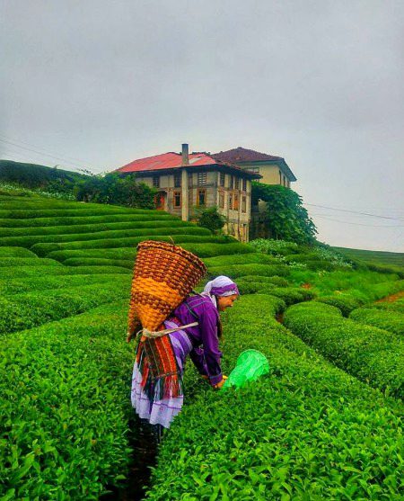 Beautiful Nature image