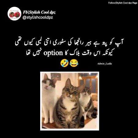 Memes & Satire image
