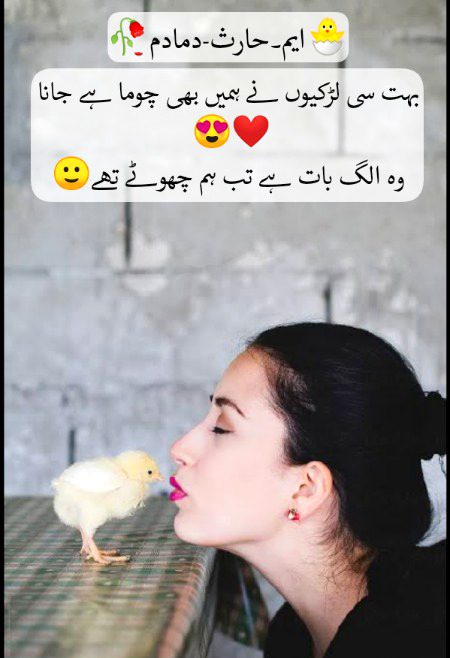 ___🙋___