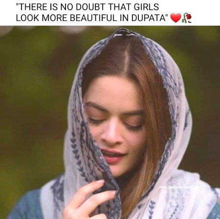 Memes & Satire image