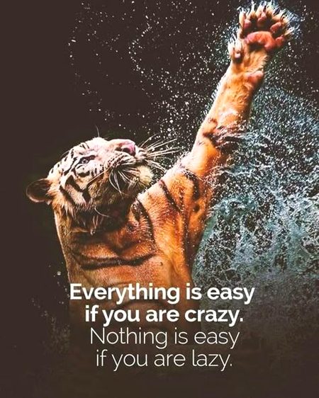 Motivational Quotes image